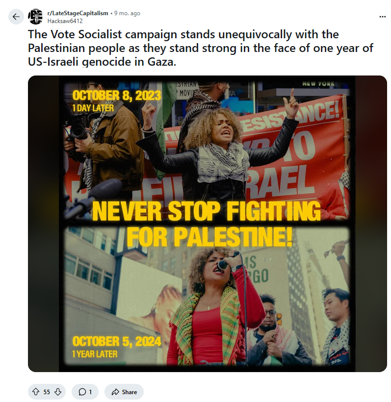 "Vote Socialist" street action — David Chung